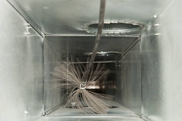 Air Duct Mold Removal in Savannah, MO